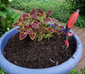 Dirty Secret - I Hate Gardening